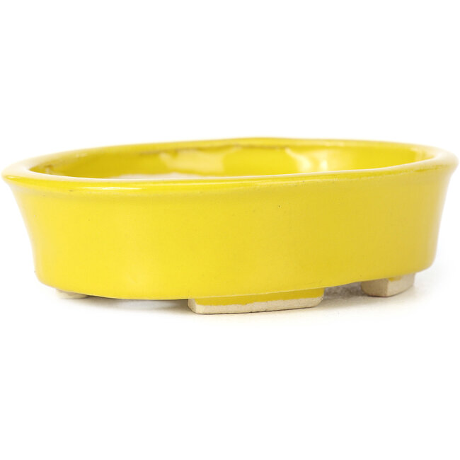 Vaso bonsai giallo ovale di Seto - 105 x 90 x 30 mm