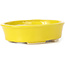 Pot à bonsaï ovale jaune par Seto - 105 x 90 x 30 mm