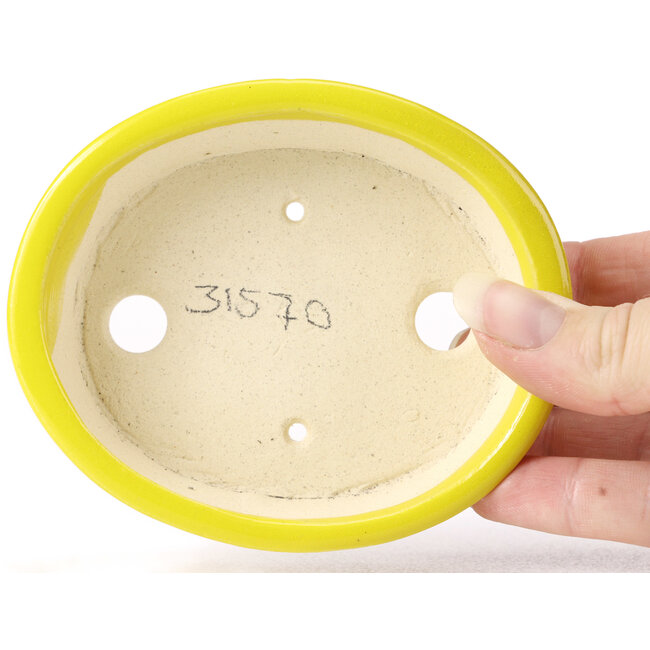 Pot à bonsaï ovale jaune par Seto - 105 x 90 x 30 mm