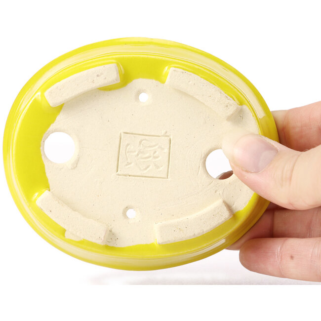 Maceta de bonsái amarilla ovalada de Seto - 105 x 90 x 30 mm