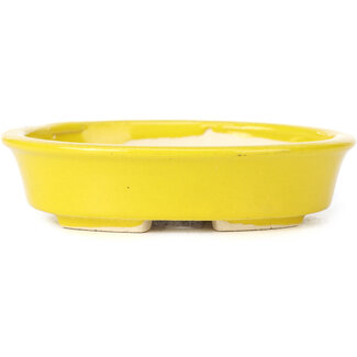 Seto 110 mm oval yellow bonsai pot by Seto, Japan