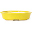 Pot à bonsaï ovale jaune par Seto - 110 x 95 x 25 mm