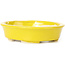 Pot à bonsaï ovale jaune par Seto - 110 x 95 x 25 mm
