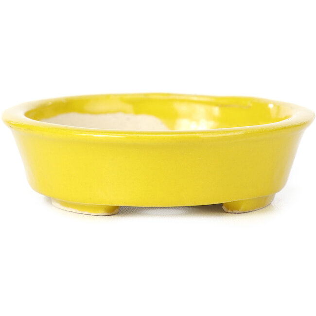 Oval yellow bonsai pot by Seto - 110 x 95 x 25 mm