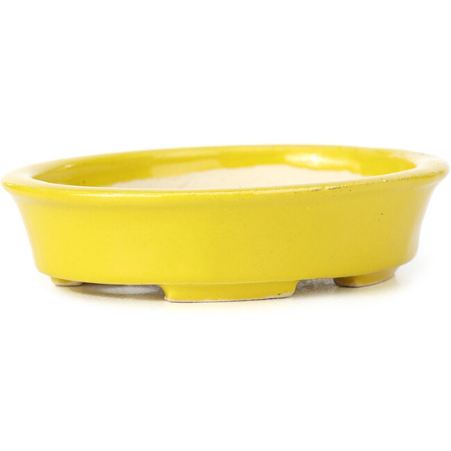 Ovale gele bonsaipot van Seto - 110 x 95 x 25 mm