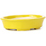 Pot à bonsaï ovale jaune par Seto - 110 x 95 x 25 mm