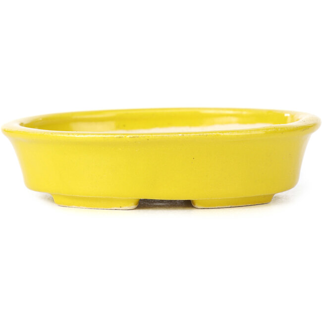 Vaso bonsai giallo ovale di Seto - 110 x 95 x 25 mm