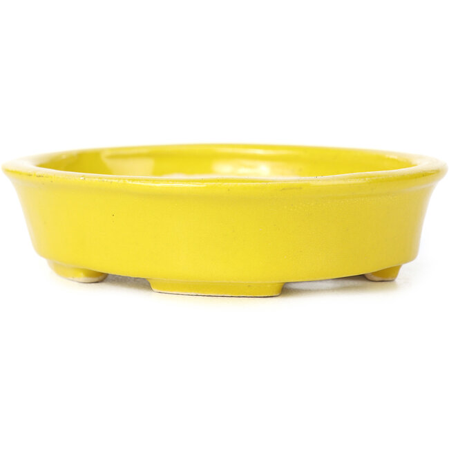 Maceta de bonsái amarilla ovalada de Seto - 110 x 95 x 25 mm