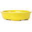 Pot à bonsaï ovale jaune par Seto - 110 x 95 x 25 mm