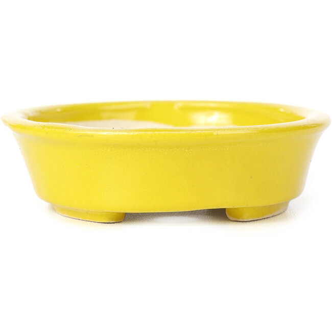 Vaso bonsai giallo ovale di Seto - 110 x 95 x 25 mm