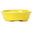 Pot à bonsaï ovale jaune par Seto - 110 x 95 x 25 mm