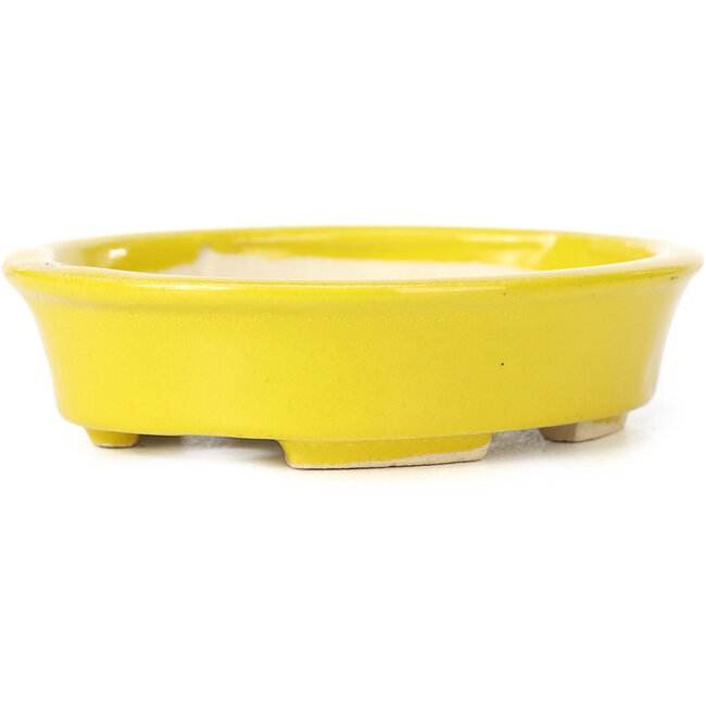 Oval yellow bonsai pot by Seto - 110 x 95 x 25 mm