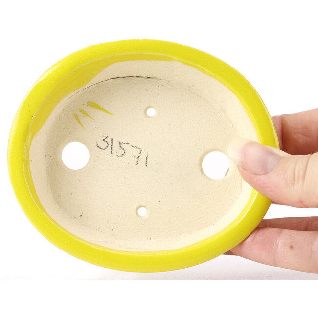 Pot à bonsaï ovale jaune par Seto - 110 x 95 x 25 mm
