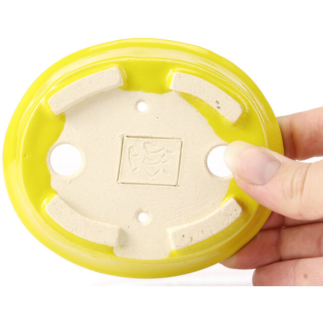 Pot à bonsaï ovale jaune par Seto - 110 x 95 x 25 mm