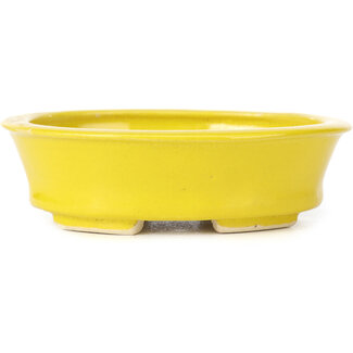 Seto 110 mm oval yellow bonsai pot by Seto, Japan