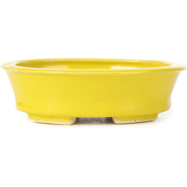 Oval yellow bonsai pot by Seto - 110 x 95 x 35 mm