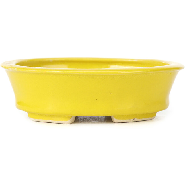 Pot à bonsaï ovale jaune par Seto - 110 x 95 x 35 mm