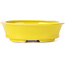 Pot à bonsaï ovale jaune par Seto - 110 x 95 x 35 mm