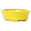 Pot à bonsaï ovale jaune par Seto - 110 x 95 x 35 mm