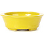 Pot à bonsaï ovale jaune par Seto - 110 x 95 x 35 mm