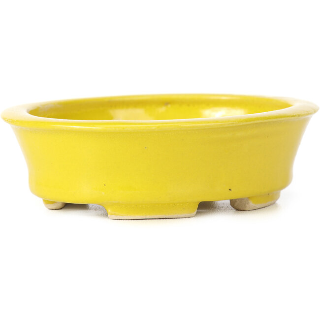Ovale gelbe Bonsaischale von Seto - 110 x 95 x 35 mm