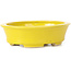 Pot à bonsaï ovale jaune par Seto - 110 x 95 x 35 mm