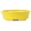 Pot à bonsaï ovale jaune par Seto - 110 x 95 x 35 mm