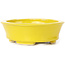 Pot à bonsaï ovale jaune par Seto - 110 x 95 x 35 mm