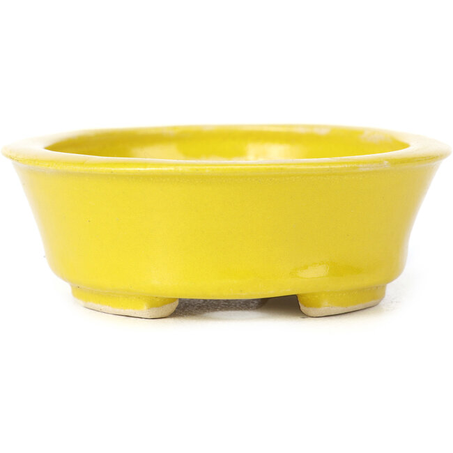Vaso bonsai giallo ovale di Seto - 110 x 95 x 35 mm