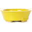 Pot à bonsaï ovale jaune par Seto - 110 x 95 x 35 mm
