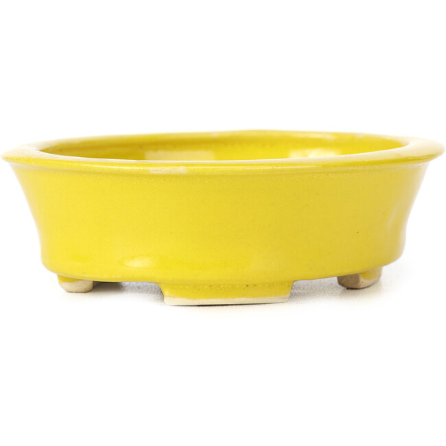 Pot à bonsaï ovale jaune par Seto - 110 x 95 x 35 mm