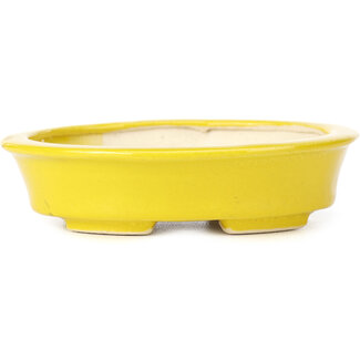 Seto 110 mm oval yellow bonsai pot by Seto, Japan