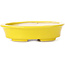 Pot à bonsaï ovale jaune par Seto - 110 x 95 x 30 mm