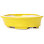 Pot à bonsaï ovale jaune par Seto - 110 x 95 x 30 mm