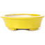 Pot à bonsaï ovale jaune par Seto - 110 x 95 x 30 mm
