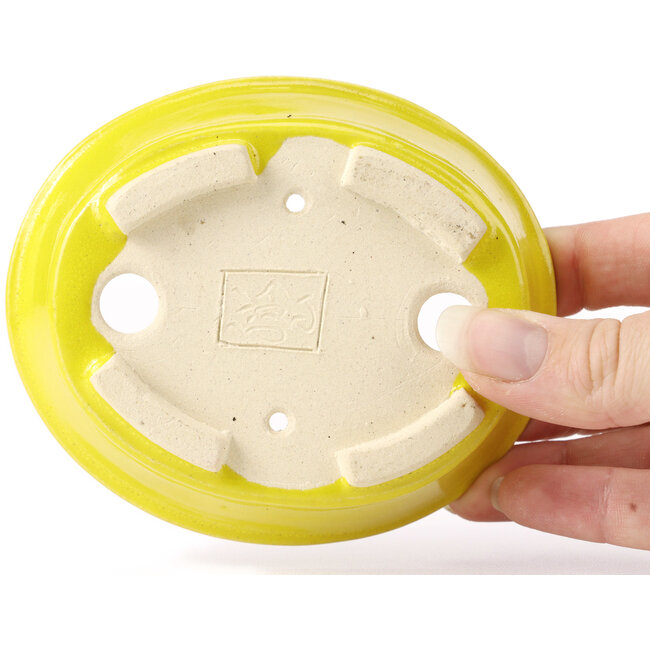 Maceta de bonsái amarilla ovalada de Seto - 110 x 95 x 35 mm