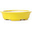 Pot à bonsaï ovale jaune par Seto - 110 x 95 x 30 mm