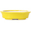 Pot à bonsaï ovale jaune par Seto - 110 x 95 x 30 mm