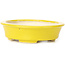 Pot à bonsaï ovale jaune par Seto - 110 x 95 x 30 mm
