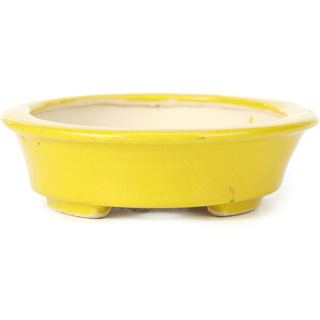 Oval yellow bonsai pot by Seto - 110 x 95 x 30 mm