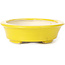Vaso bonsai giallo ovale di Seto - 110 x 95 x 30 mm