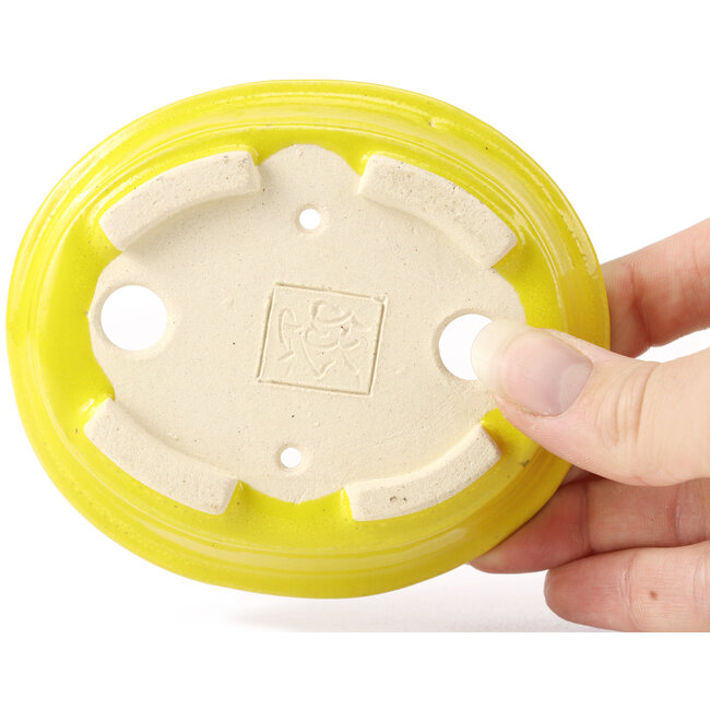 Pot à bonsaï ovale jaune par Seto - 110 x 95 x 30 mm