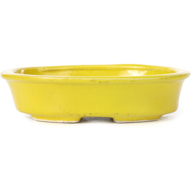 Oval yellow bonsai pot by Seto - 110 x 90 x 30 mm