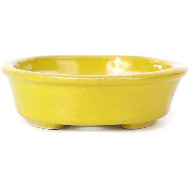 Vaso bonsai giallo ovale di Seto - 110 x 90 x 30 mm