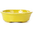 Pot à bonsaï ovale jaune par Seto - 110 x 90 x 30 mm