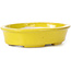 Oval yellow bonsai pot by Seto - 110 x 90 x 30 mm