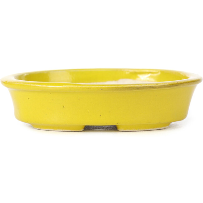 Vaso bonsai giallo ovale di Seto - 110 x 90 x 30 mm