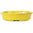 Pot à bonsaï ovale jaune par Seto - 110 x 90 x 30 mm