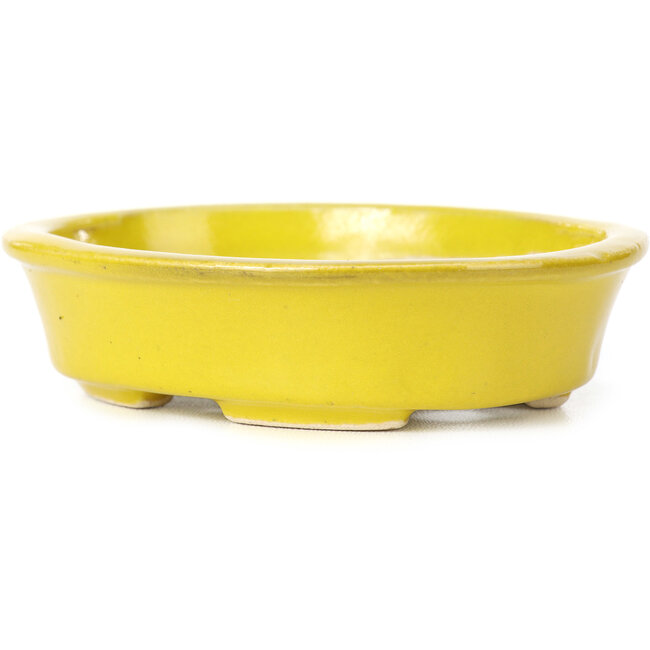 Ovale gele bonsaipot van Seto - 110 x 90 x 30 mm