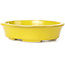 Pot à bonsaï ovale jaune par Seto - 110 x 90 x 30 mm